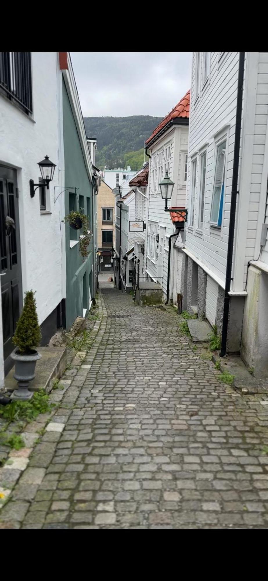 The Dreamhouse - Inner City Center - Old Town Bergen Exterior foto
